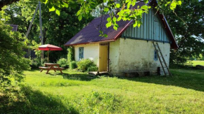 Viini puhkemaja in Mustjala